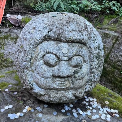 nyanchu_onchuuu's profile picture. おれたちの囲碁将棋  #情熱スリー