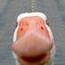 don't forget to lookdown (@ihopeaserenity) Twitter profile photo don't forget to lookdown (@ihopeaserenity) Twitter profile photo