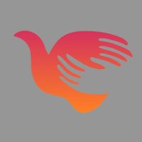 Everyday Peace Indicators (@everydaypeace) 's Twitter Profile
