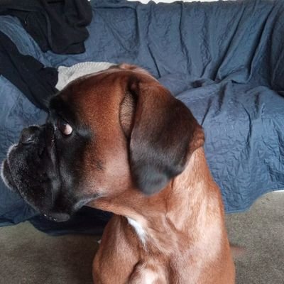 CycloManni's profile picture. Emigriert in den Osten von Deutschland