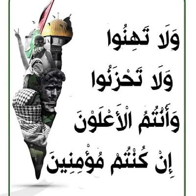 Don't argue with me when it comes to Gaza (Arab Palestine)...
The Arab Republic of Egypt is the heart of the Islamic, Arab and African nation