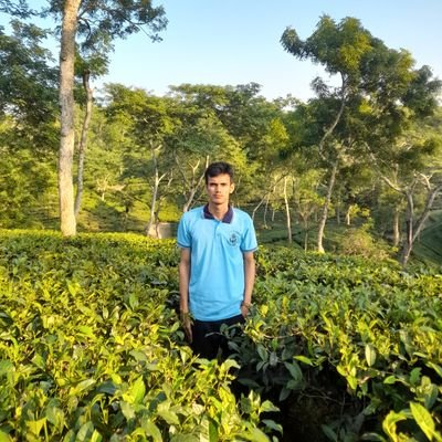 web Developer, Css, Bootstrap,Tailwind, Java Scirpt,Vue,Nuxt Php, Laravel,Inertia
github :https://t.co/xSJFUgsSLz