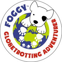 ME Foggy Dog 💙(@MEFoggyDog) 's Twitter Profile Photo