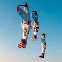 USAF Vet /OEF-1, Retired LEO, 110% š®šŖ; DAV & VFW Member; Supporter of The Thin Blue Line, Borders, Language, Culture šŗšø (RT's Do Not = Endorsement)