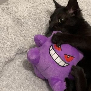 ZeyroxCraxker's profile picture. les queda grande ocupar mi lugar