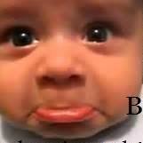 Gerhard Schäfer (@gerhard12479) 's Twitter Profile Photo