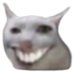 Gato Epico (@thisismoe_) Twitter profile photo Gato Epico (@thisismoe_) Twitter profile photo