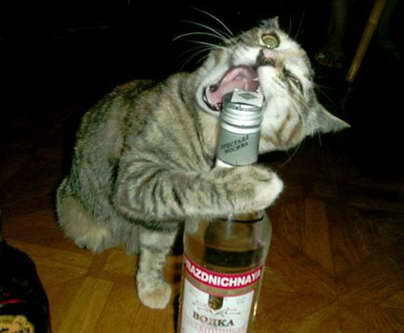 um dose de vodka e de alguem pra me ouvir, por favor