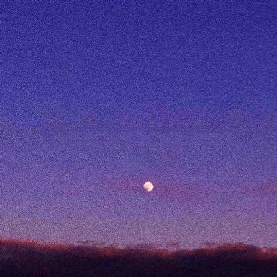 unfocusednet's profile picture. I post nonsense