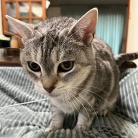 Hey (@heyhey50062833) 's Twitter Profile Photo