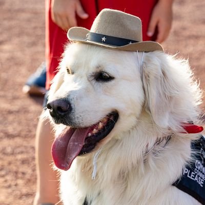 Supporter of the #1 Prospect in the Brewers Organization, Cheerio the Comfort Dog, as well as future NL Reliever of the Year, Abner Uribe