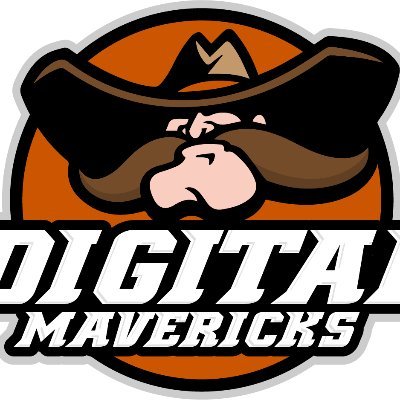 🚀 Digital Mavericks: Trailblazing the Digital Frontier! 🌐 Rebels in the world of Marketing.
605-307-3389