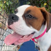 Kyle Garcia (@kylegar27) 's Twitter Profile