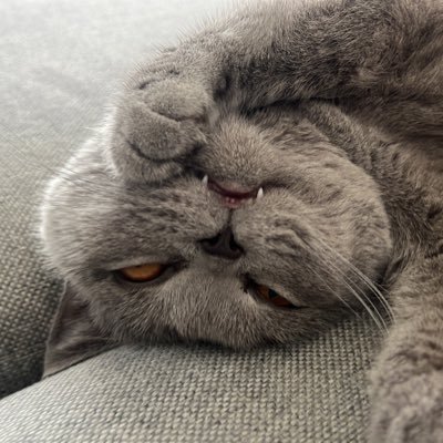 coochydj's profile picture. 