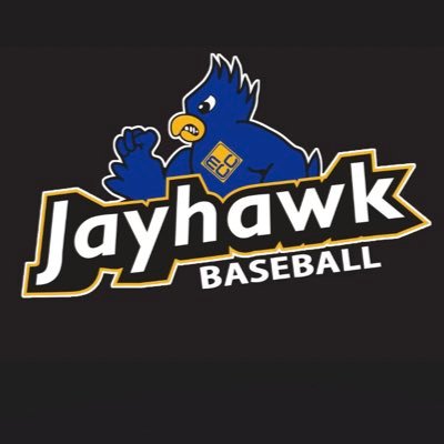 Official Twitter of Muskegon CC Baseball. 
NJCAA DII in the MCCAA Northern Conference. 
#JayhawkNation