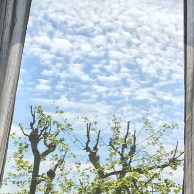 NunagiJota's profile picture. 