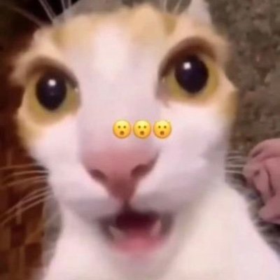 styro_star's profile picture. loves obesity and stuff even bigger than that! probably only going to like and repost stuff