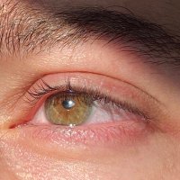 Emirhan POCHİNKİ (@serserihayatii) 's Twitter Profile