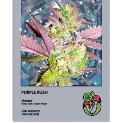 nft_drop4u's profile picture. https://t.co/QFVpLLkXdZ

A 420 Friendly Trading Group for Crypto & Stocks