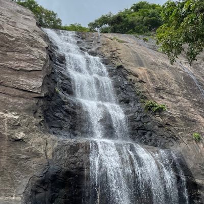 SilverYah06's profile picture. 