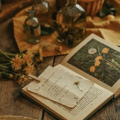 da3mNayeraa's profile picture. جروب لدعم المصممين والمصممات... للانضمام ارسل على الخاص🌟💙