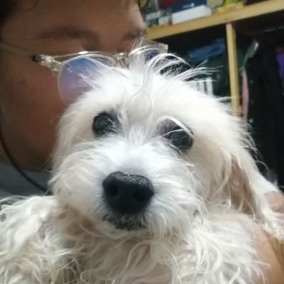 CarmenG33978598's profile picture. 