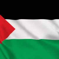 Cat #BDS (@bellesraven) 's Twitter Profile Photo Cat #BDS (@bellesraven) 's Twitter Profile Photo