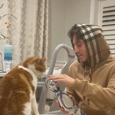 nocodeglaze's profile picture. AMD/SMCI bull/btc bear/serial carnivore 🔪🥩🩸|🇺🇸first