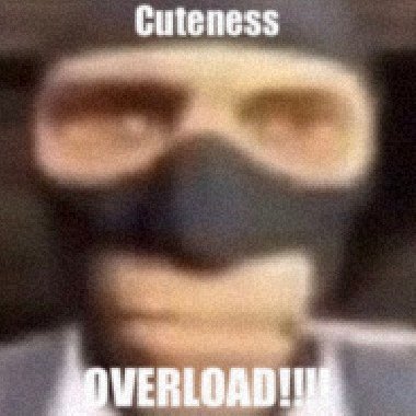MOVED ACCSさんのプロフィール画像