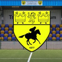 Newmarket Town F.C(@NewmarketTownFC) 's Twitter Profile Photo