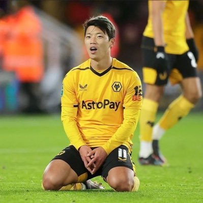 pipelliottt's profile picture. WWFC 🐺💛🖤