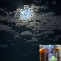 طلآل ٩٩ .. (@t3lal3ii) 's Twitter Profile