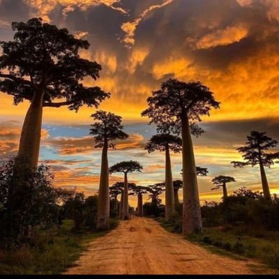 Lufuno498236's profile picture. 