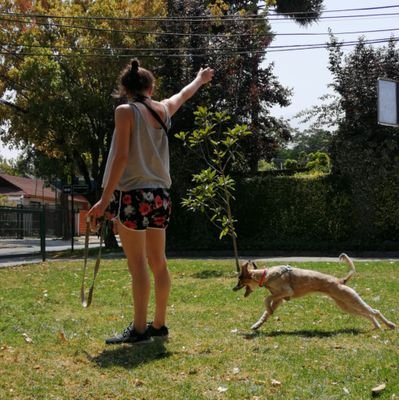 ♀️🏳️‍🌈🥦🚲🌿🐱🐶💚

Me da vergüenza ajena la gente de derecha