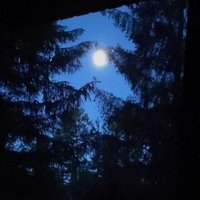 سلمان الفارسي (@alfarsisalman) 's Twitter Profile