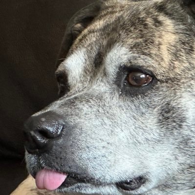 TheRealPOG_'s profile picture. 