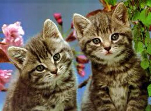 Selfabsorbed7's profile picture. 