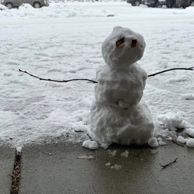 sockpuppetAl's profile picture. 