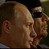 🇵🇸🔻🔻🔻📉📈 (@njengatrader) 's Twitter Profile