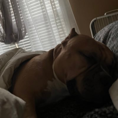 debdukes11's profile picture. 
