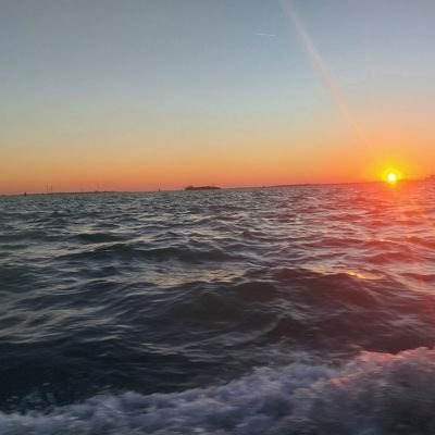 MoreliaZavaleta's profile picture. dreams