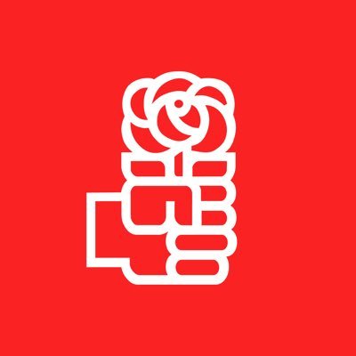 Cuenta oficial del Bloque del Partido Socialista en @DiputadosAR✊️🌹🇦🇷