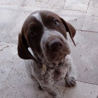Paul Farnon (@onetruthonelaw) 's Twitter Profile