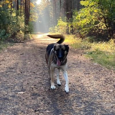 Marcin72971169's profile picture. AS Roma fan