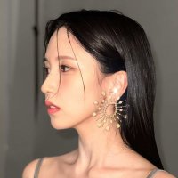 Aly (@mivelymyoi) 's Twitter Profile