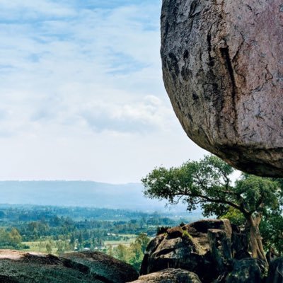 sahteknait's profile picture. 