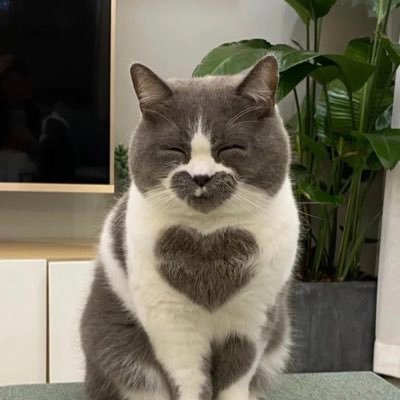 matejko_oliwia's profile picture. 