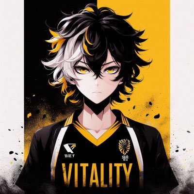 Fan of @TeamVitality 🐝 | Passionate by Esport, News and Games #VforVictory #VITWIN
