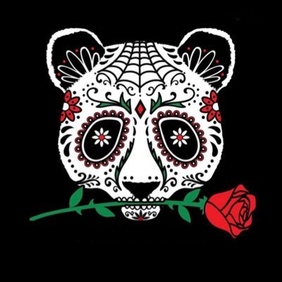 NFPphoto's profile picture. Photographer & Graphic Designer | Cool, Calm, Collected