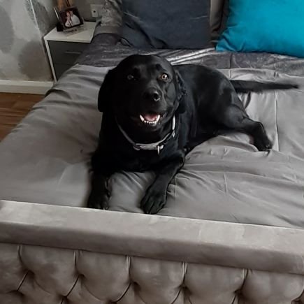 nikkileighevans's profile picture. Love Westlife, tattoos, rugby, music, fashion and shopping and Wales 🏴󠁧󠁢󠁷󠁬󠁳󠁿🏴󠁧󠁢󠁷󠁬󠁳󠁿 Not always in that order ;)